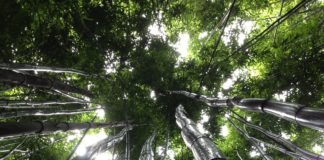 TRON Surpasses One Million User Accounts After Only Six Months of Launch