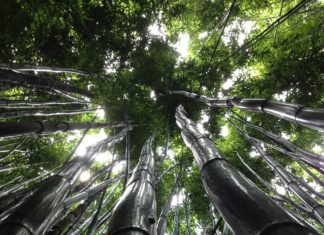 TRON Surpasses One Million User Accounts After Only Six Months of Launch