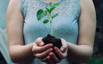 Blockchain Incubator Binance Labs Launches 8 New Projects