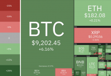 Cryptocurrency Market State