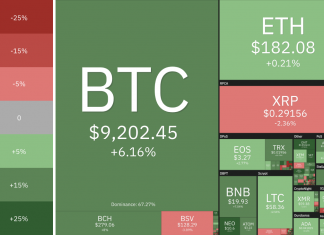 Cryptocurrency Market State