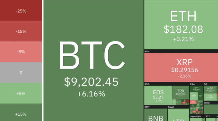 Cryptocurrency Market State