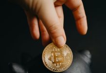 How to Invest in Cryptocurrency Projects? a person holding a coin