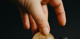 How to Invest in Cryptocurrency Projects? a person holding a coin