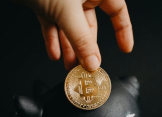 How to Invest in Cryptocurrency Projects? a person holding a coin