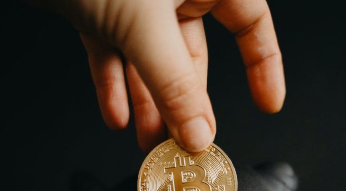 How to Invest in Cryptocurrency Projects? a person holding a coin