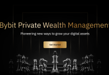 Bybit Private Wealth Management: Tailored Crypto Wealth Solutions for High-Net-Worth Investors Bybit Private Wealth Management