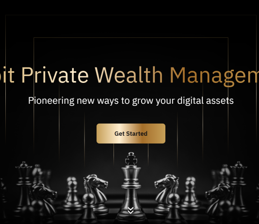 Bybit Private Wealth Management: Tailored Crypto Wealth Solutions for High-Net-Worth Investors Bybit Private Wealth Management